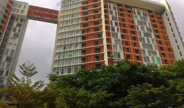 Suria Jelutong - photo 3