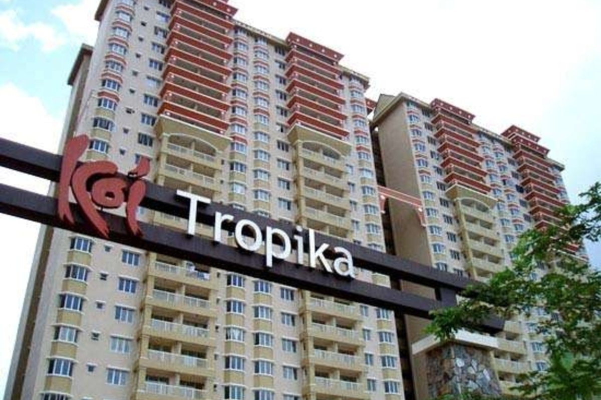 Koi Tropika - photo 2
