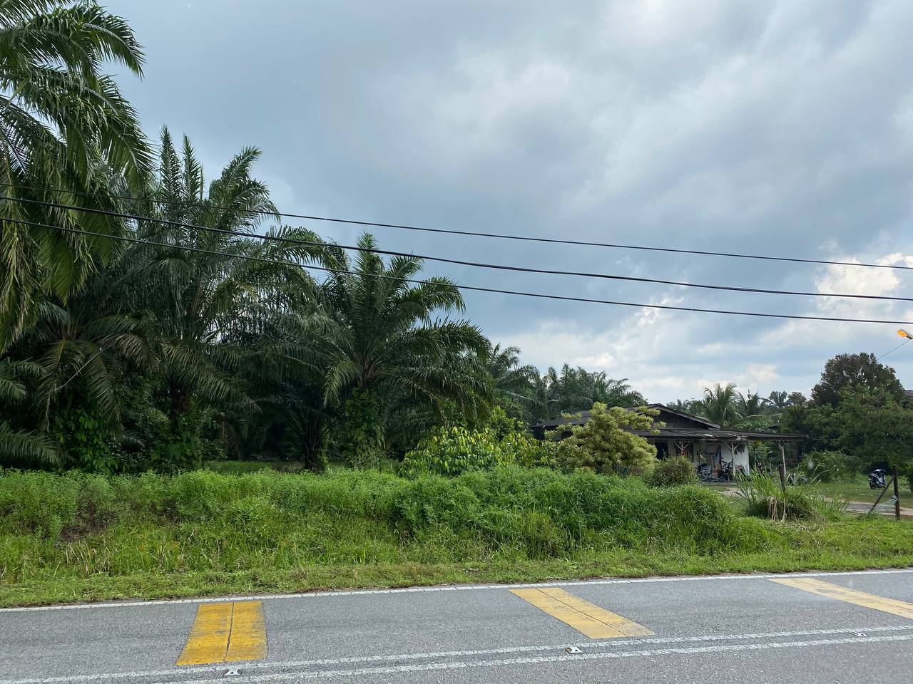 Tanah Pertanian Bukit Bangkong, Sungai Pelek,