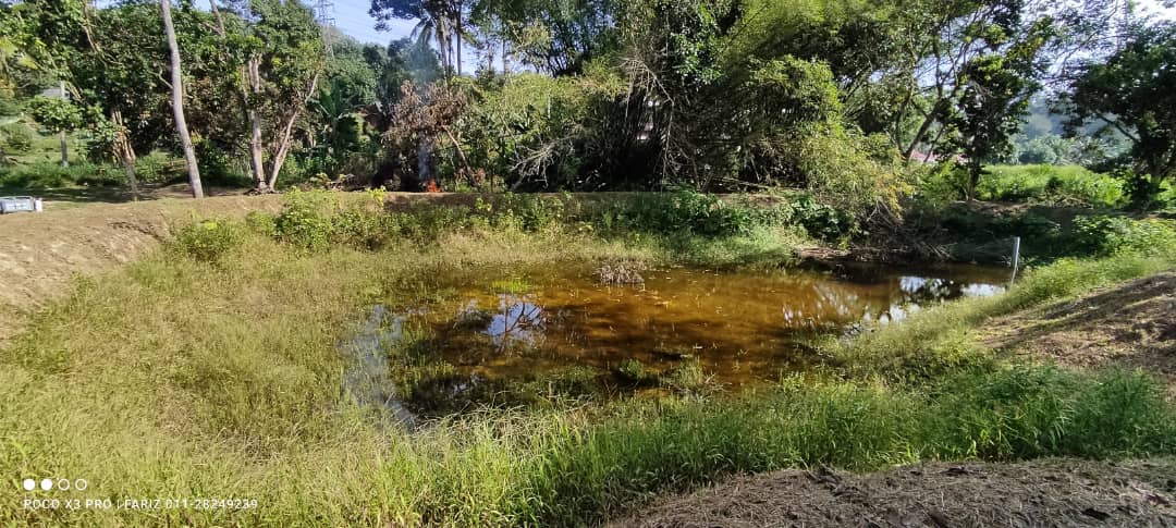 2 ekar Tanah Dusun, Kampung Bemban, Seremban - photo 11