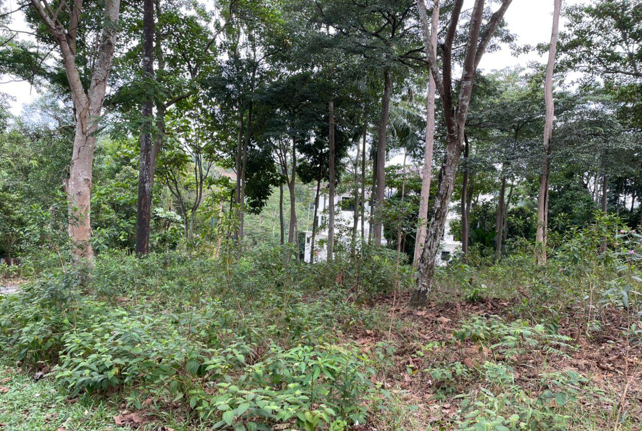 Hill Top Bungalow Lot Kayangan Heights Seksyen U9 - photo 2