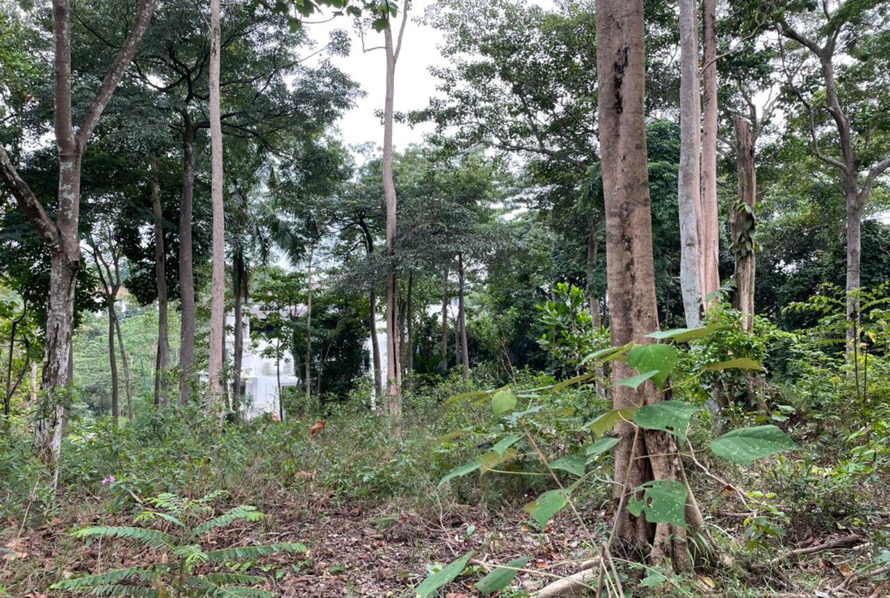Hill Top Bungalow Lot Kayangan Heights Seksyen U9 - photo 3