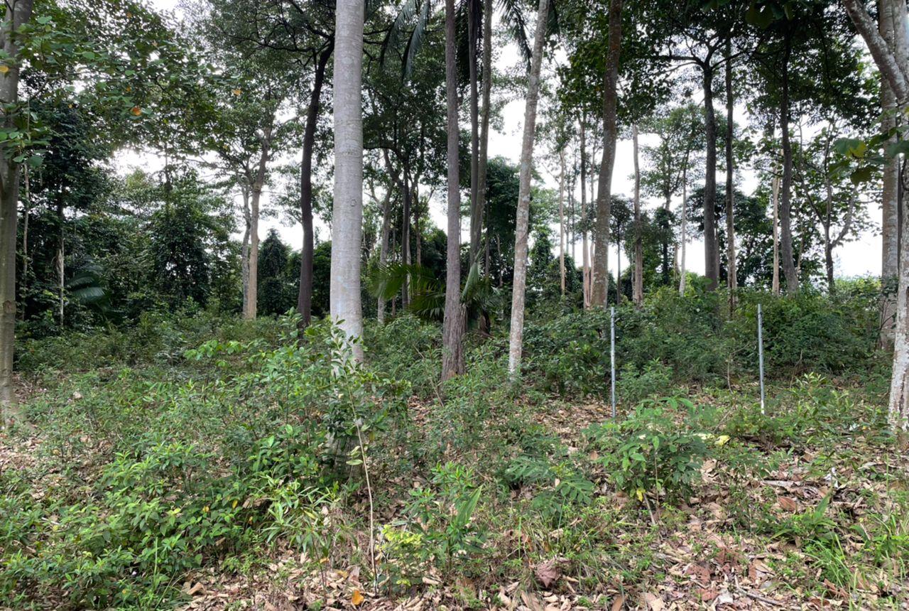 Hill Top Bungalow Lot Kayangan Heights Seksyen U9 - photo 4
