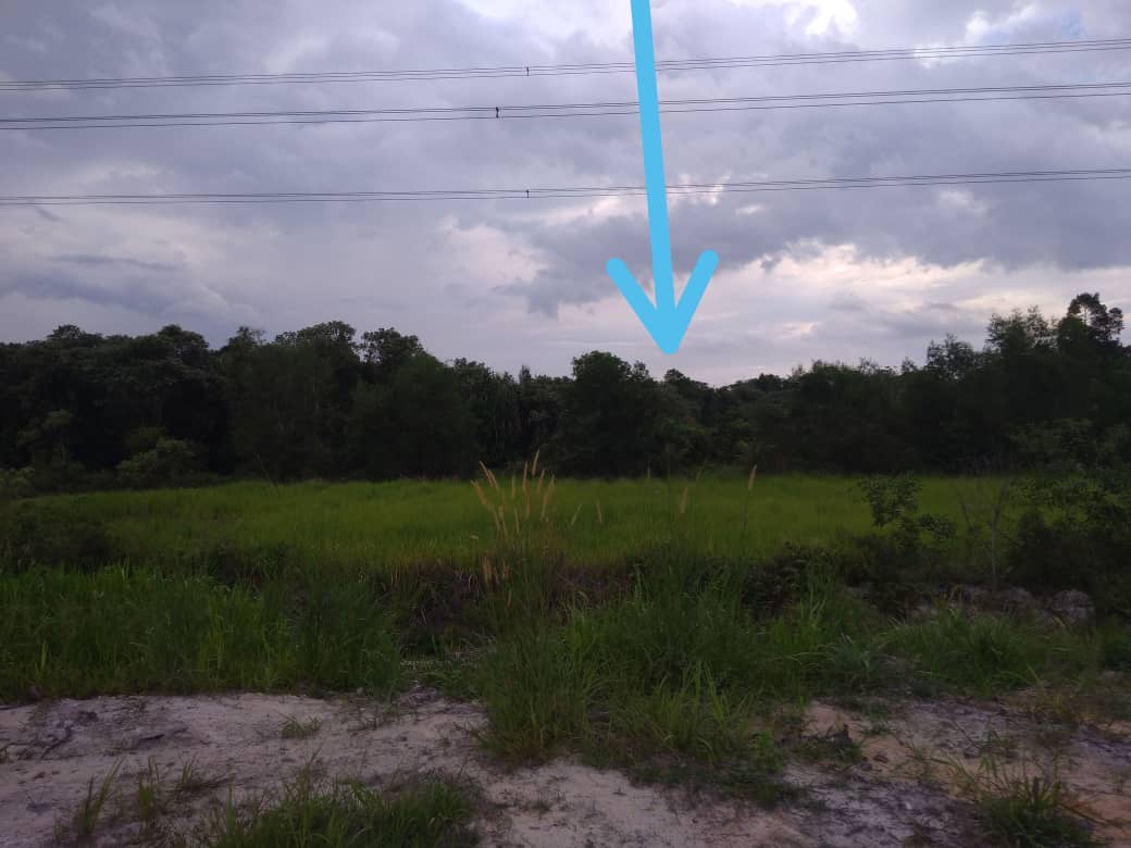 Tanah Pertanian Bukit Damar, Dengkil - photo 3