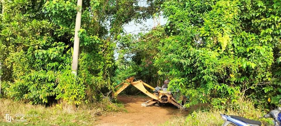 Tanah Pertanian Dusun, Tangkak-Segamat, Johor - photo 3