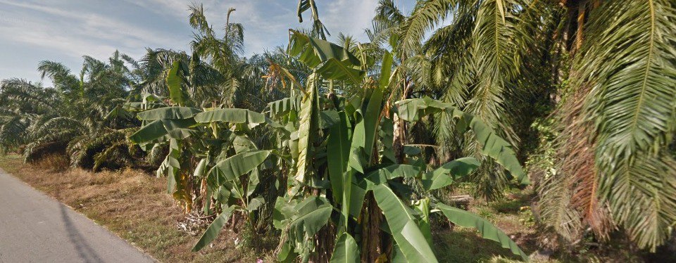 Land for Sell in Ujung Permatang Kuala Selangor - photo 1
