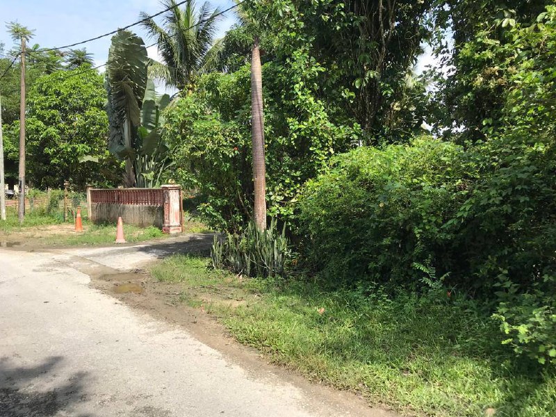 Tanah Pertanian untuk dijual, Mantin