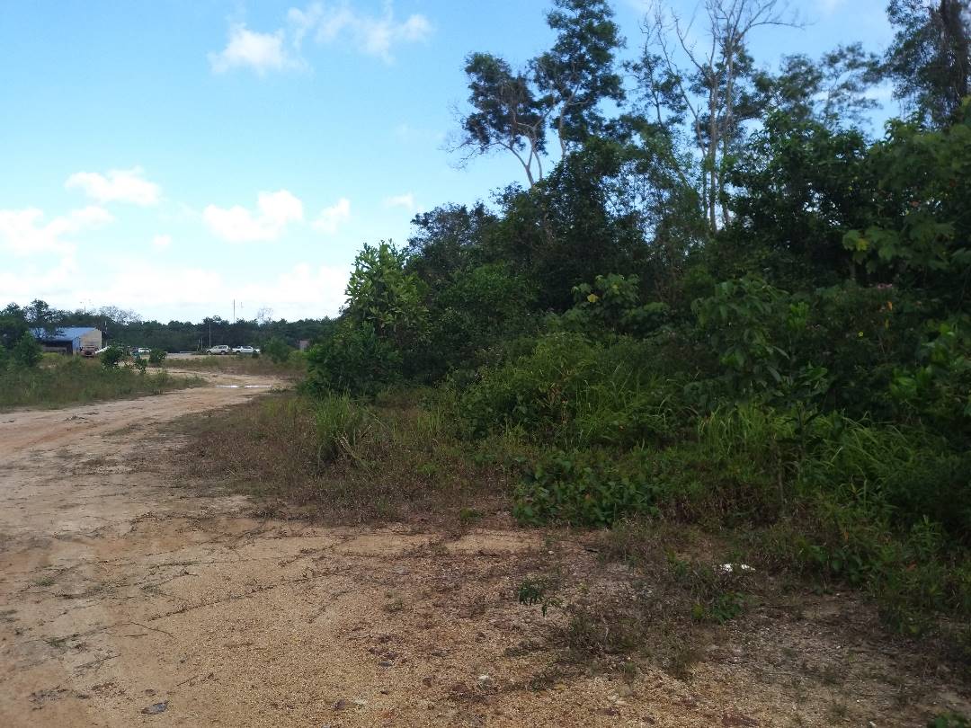 Tanah Untuk Dijual Di Kampung Gudang Rasau Kuantan - photo 3