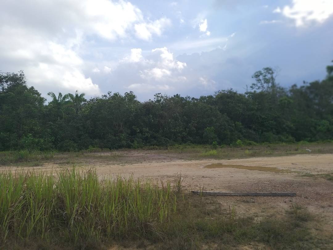 Tanah Untuk Dijual Di Kampung Gudang Rasau Kuantan - photo 4
