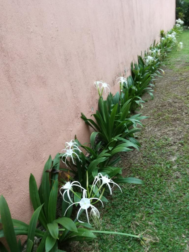 Taman Bukit Ampang - photo 4