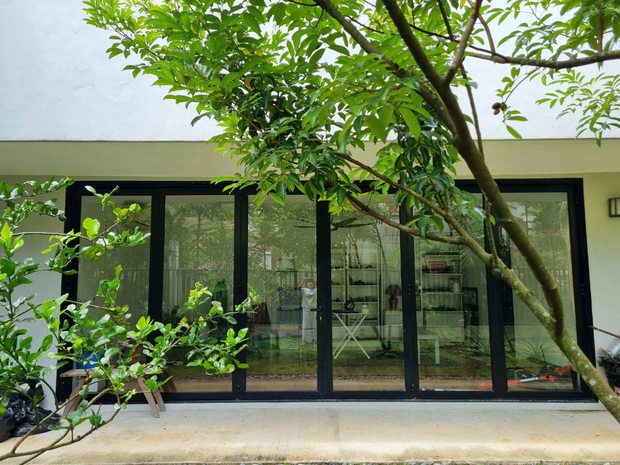 20 Trees West - photo 3