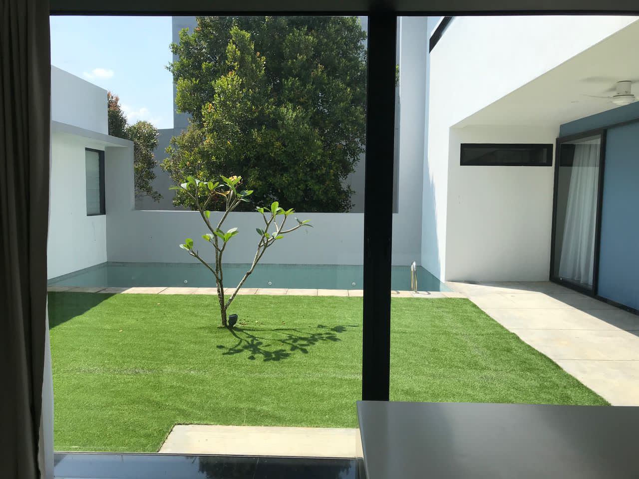20 Trees - photo 2