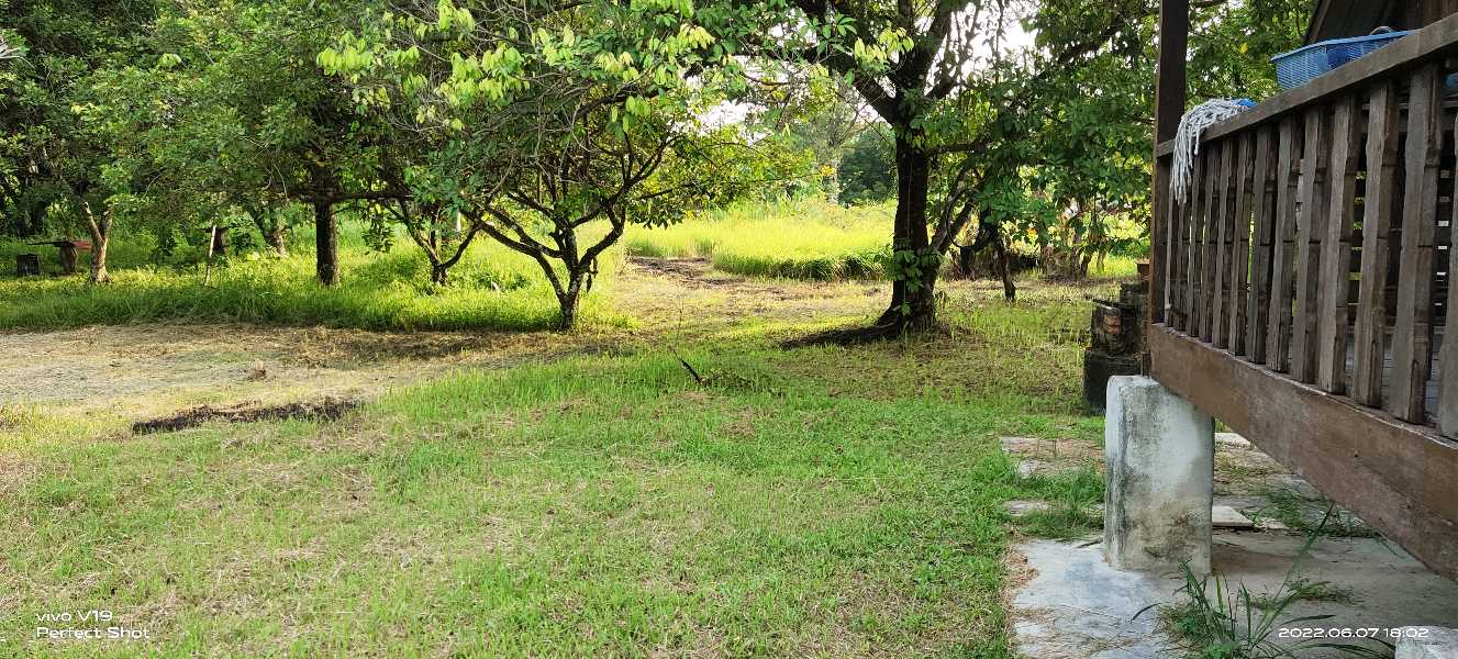 8 acre Flat Land at Simpang Pulai Suitable for Industrial  - photo 5