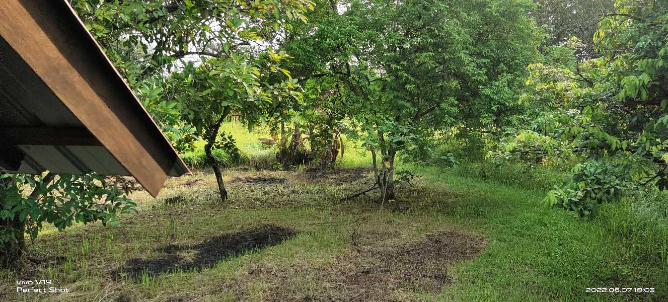 8 acre Flat Land at Simpang Pulai Suitable for Industrial  - photo 7