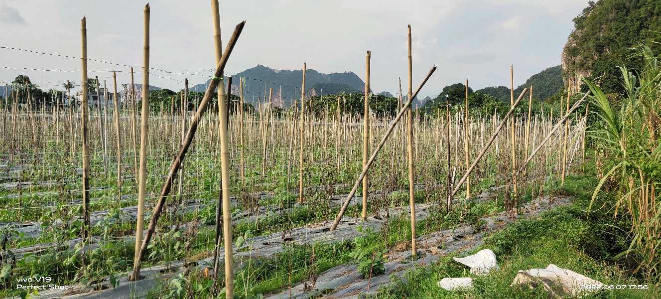 8 acre Flat Land at Simpang Pulai Suitable for Industrial  - photo 8