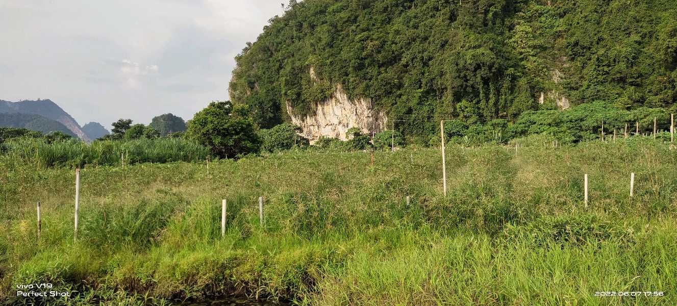 8 acre Flat Land at Simpang Pulai Suitable for Industrial  - photo 10