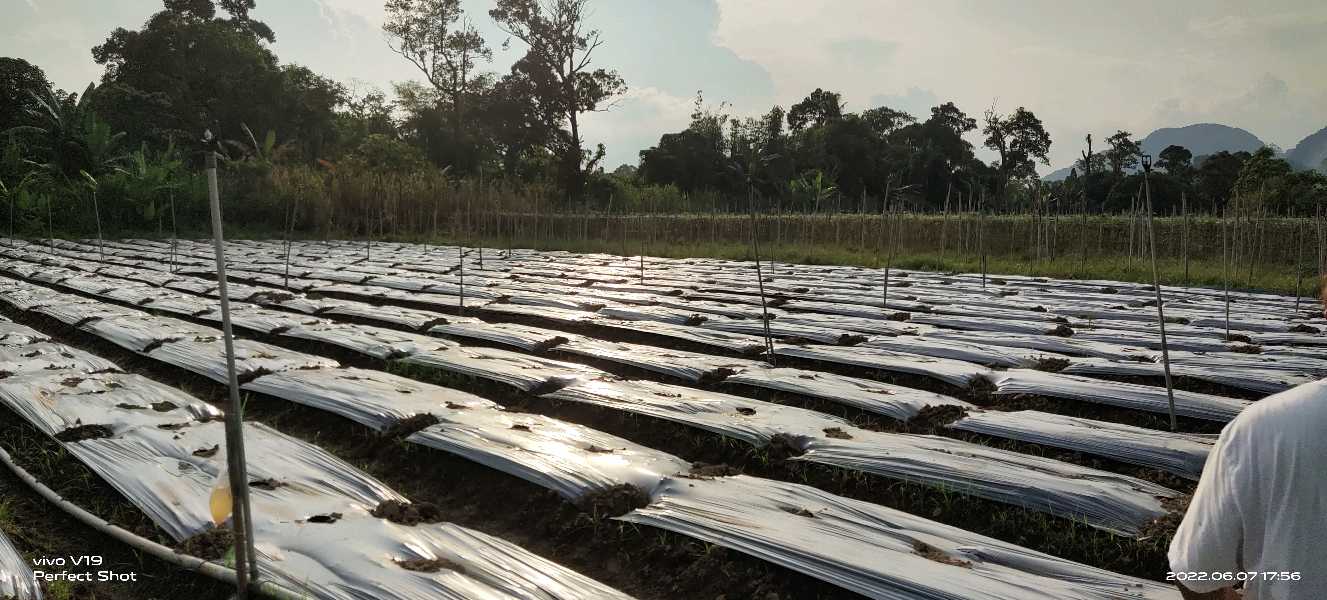 8 acre Flat Land at Simpang Pulai Suitable for Industrial  - photo 11