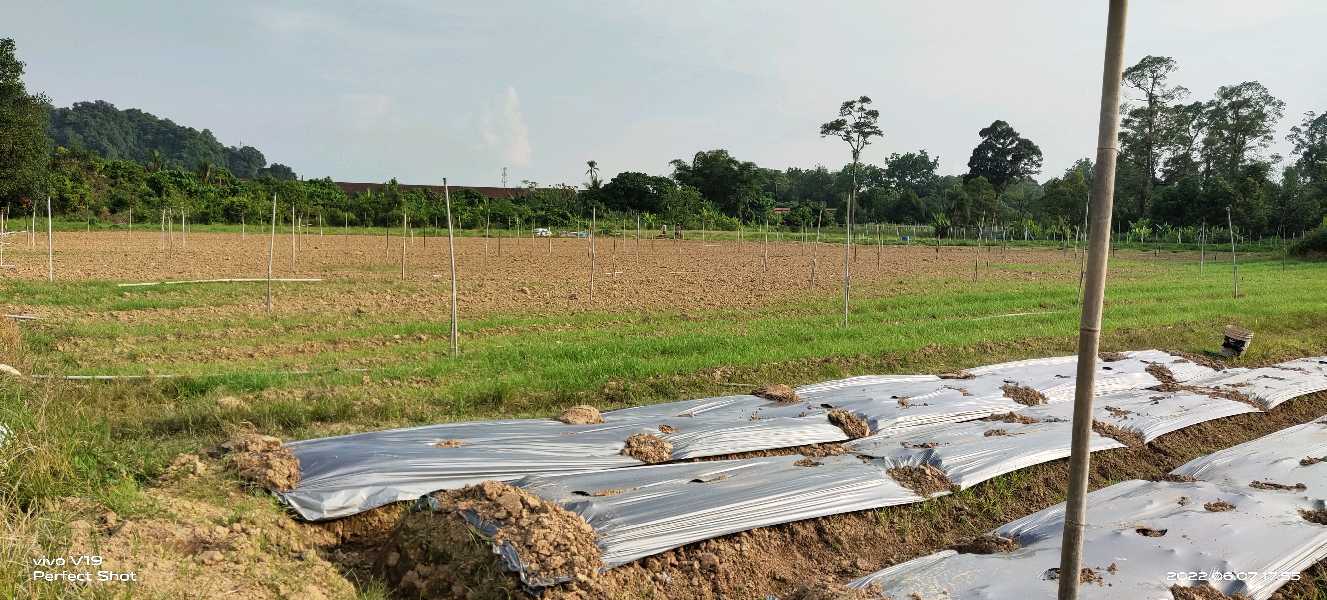 8 acre Flat Land at Simpang Pulai Suitable for Industrial  - photo 12