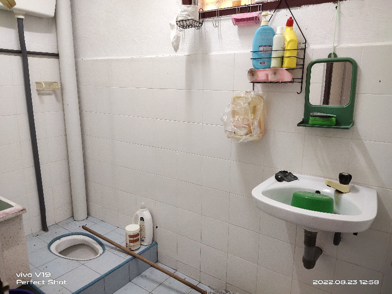 Double Storey Link , RPA Malim Nawar - photo 7