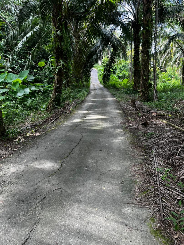 Tanah Ulu Piol Kuala Kangsar - photo 4