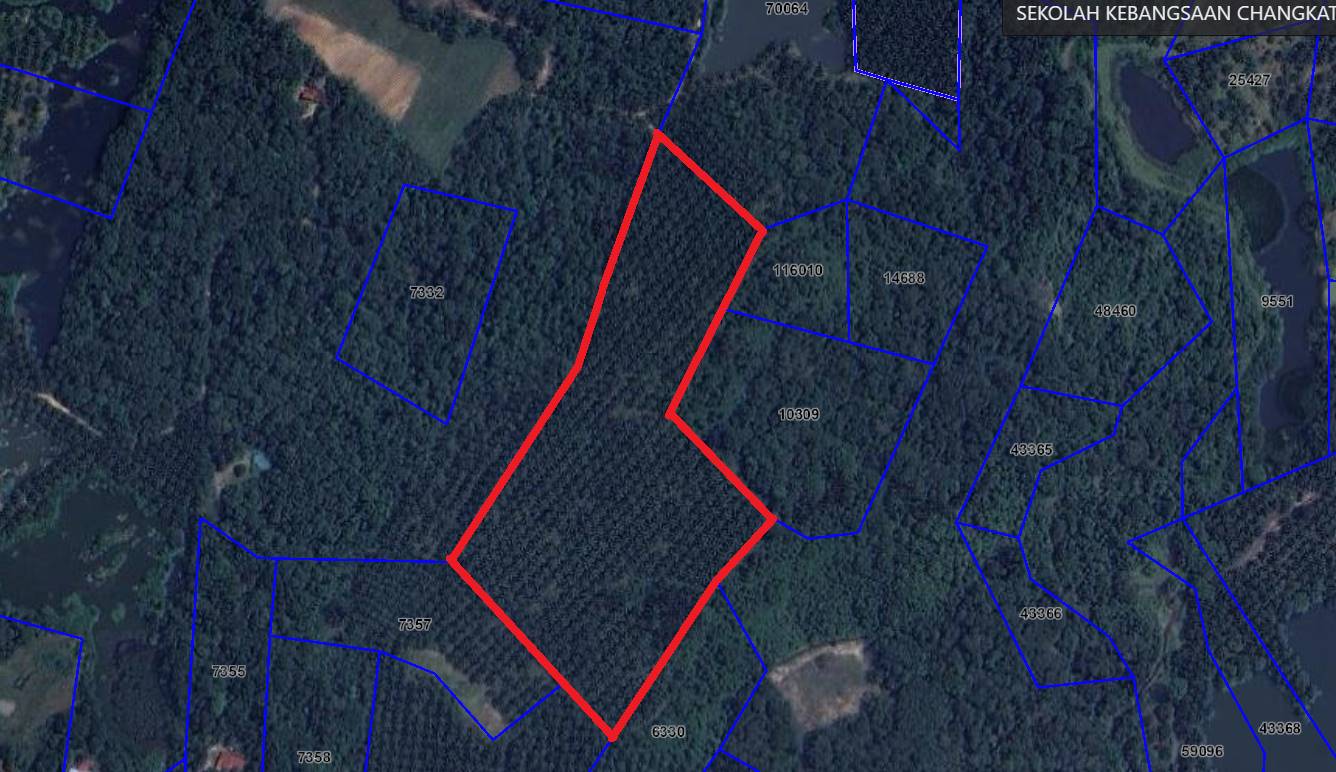 Ladang Kelapa Sawit 12 Ekar Gopeng - photo 4