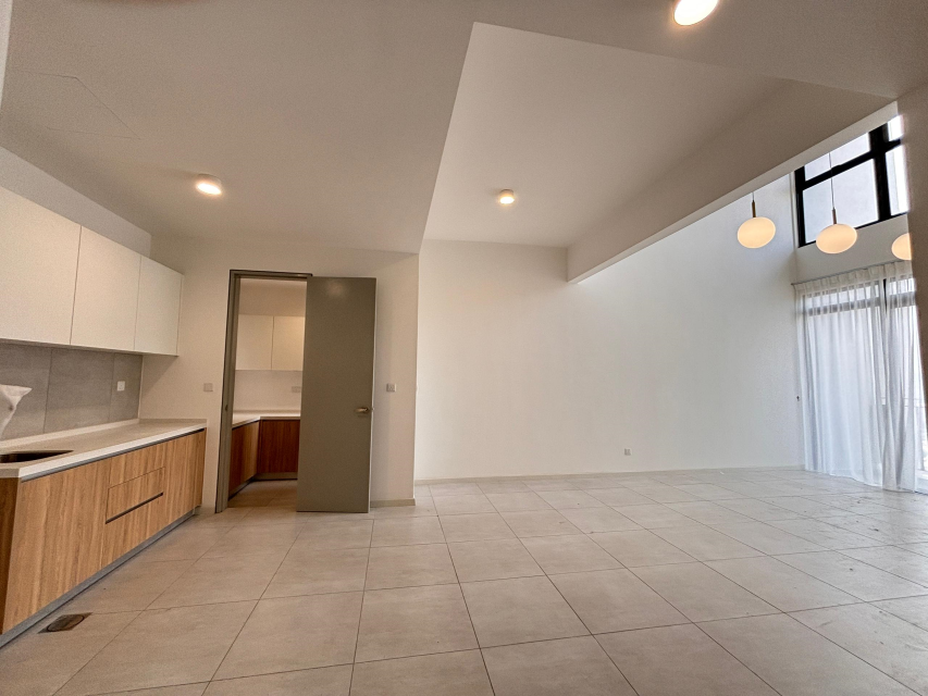 The Pano Residence Duplex Unit - photo 5