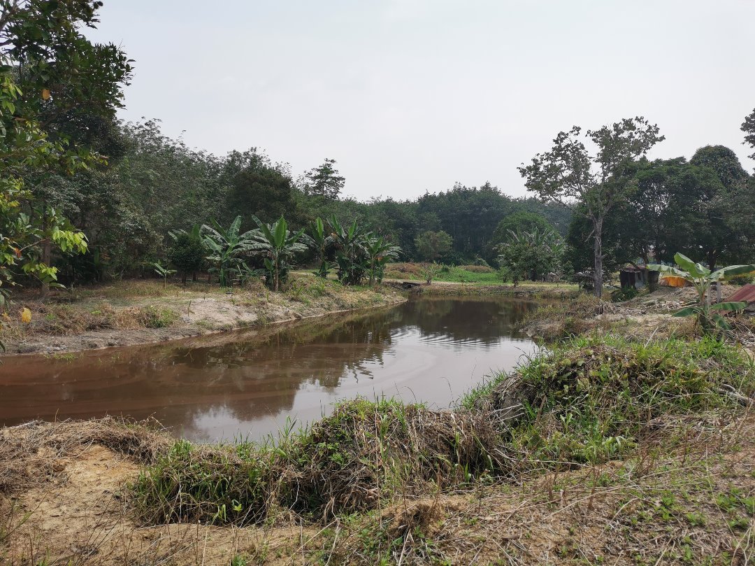 WTS TANAH UNTUK DIJUAL PERTANIAN 9 EKAR - photo 2