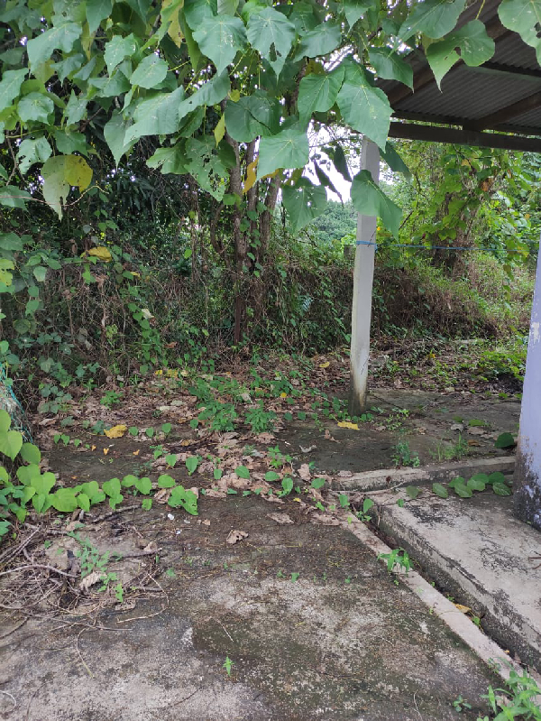 rumah semi d setingkat batu enam dungun - photo 11