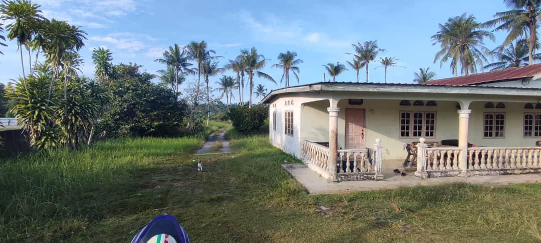 rumah banglo setingkat beserta tanah 1 ekar sungai soi - photo 6