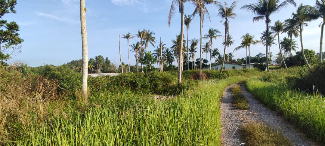 rumah banglo setingkat beserta tanah 1 ekar sungai soi - photo 7