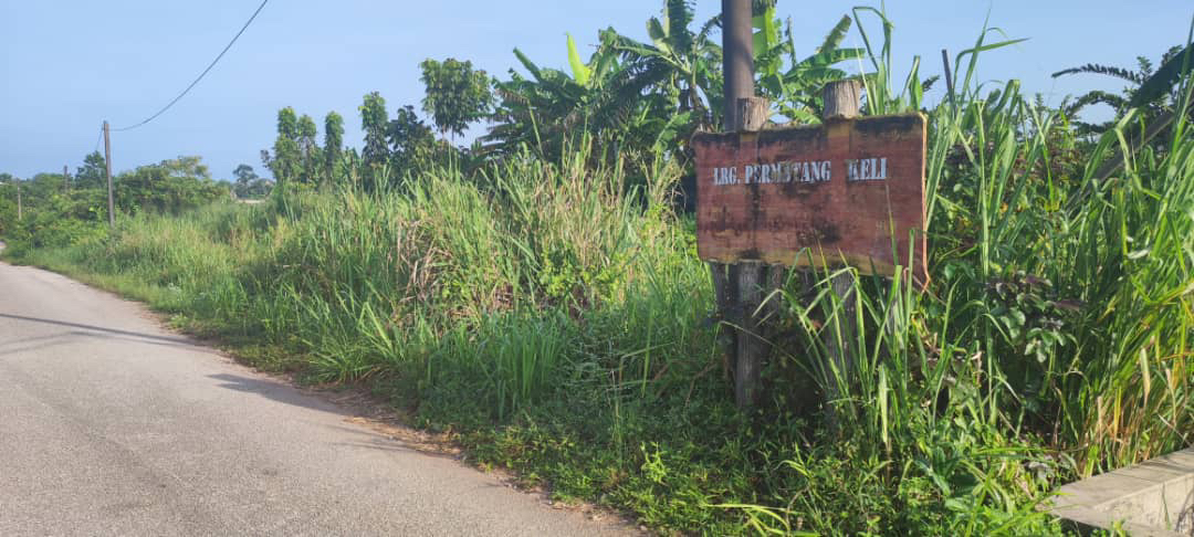 rumah banglo setingkat beserta tanah 1 ekar sungai soi - photo 8