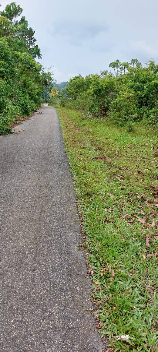 2 LOT TANAH RUMAH BANGLO UNTUK DIJUAL DI PADANG PULUT DUNGUN - photo 2