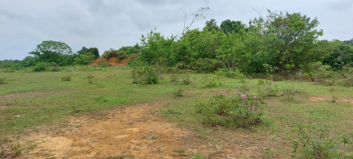 2 LOT TANAH RUMAH BANGLO UNTUK DIJUAL DI PADANG PULUT DUNGUN - photo 3