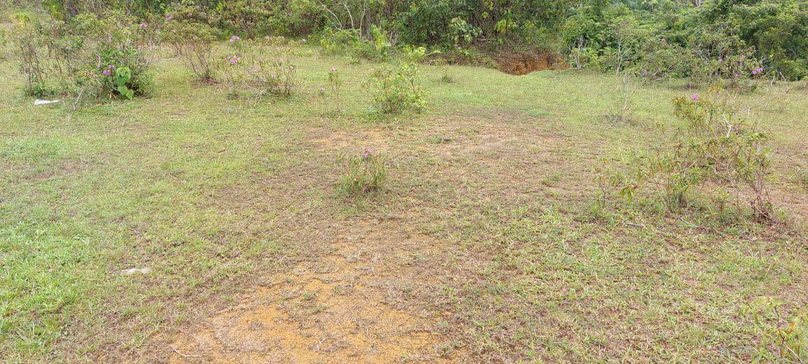 2 LOT TANAH RUMAH BANGLO UNTUK DIJUAL DI PADANG PULUT DUNGUN - photo 4
