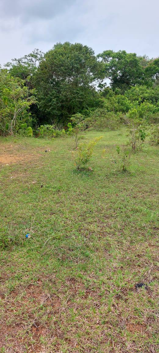 2 LOT TANAH RUMAH BANGLO UNTUK DIJUAL DI PADANG PULUT DUNGUN - photo 5