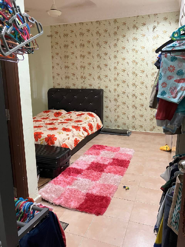 semi d damansara kuantan  - photo 3