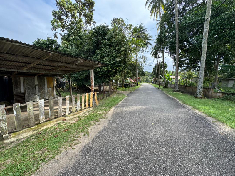 Tanah Pertanian di Kampung Batu Putih Kerteh Terengganu - photo 3