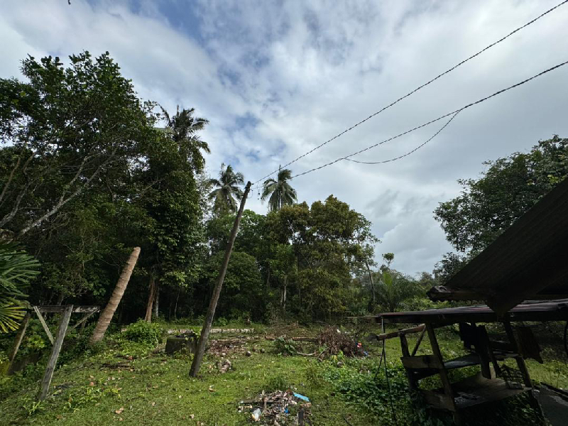 Tanah Pertanian di Kampung Batu Putih Kerteh Terengganu - photo 4