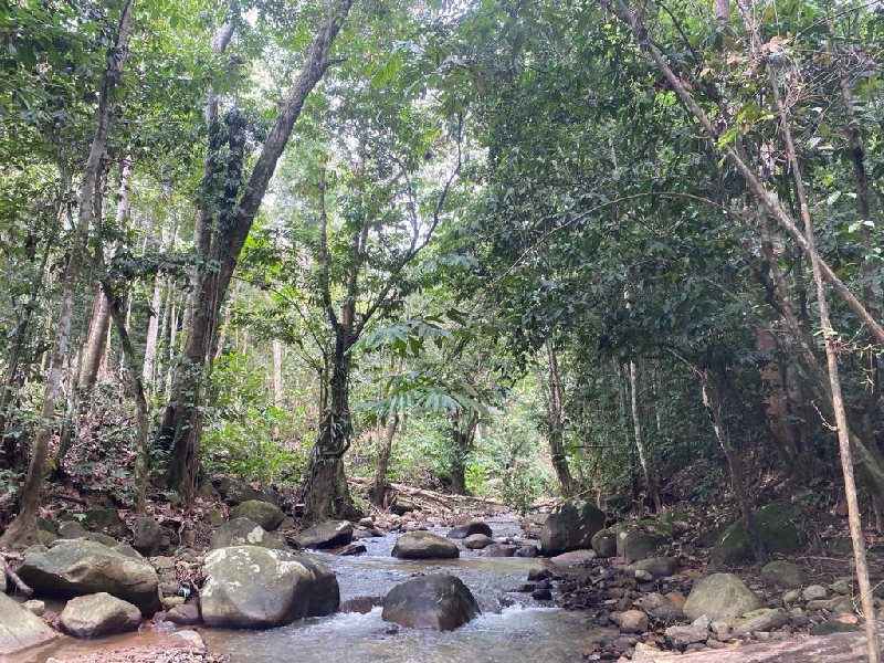 Tanah Pertanian Sungai Lui, Hulu Langat Selangor (Ada Air Terjun Sesuai Untuk Buat Resort/ Campsite) - photo 2