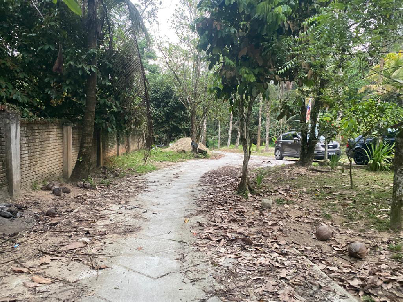 Tanah Pertanian Sungai Lui, Hulu Langat Selangor (Ada Air Terjun Sesuai Untuk Buat Resort/ Campsite) - photo 3