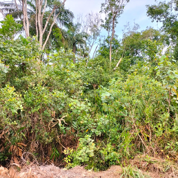 [PALING LUAS] Tanah Lot Banglo Taman Guru TURUN HARGA - photo 5