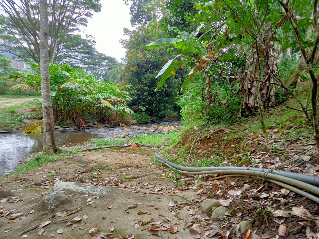 TaNaH FReEhoLD CAnTiK SuNgai RaTa BeRBuKiT - photo 2
