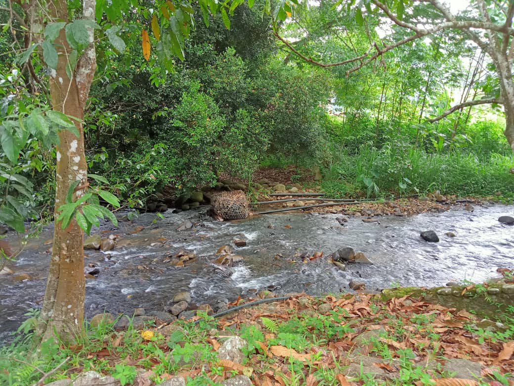 TaNaH FReEhoLD CAnTiK SuNgai RaTa BeRBuKiT - photo 4