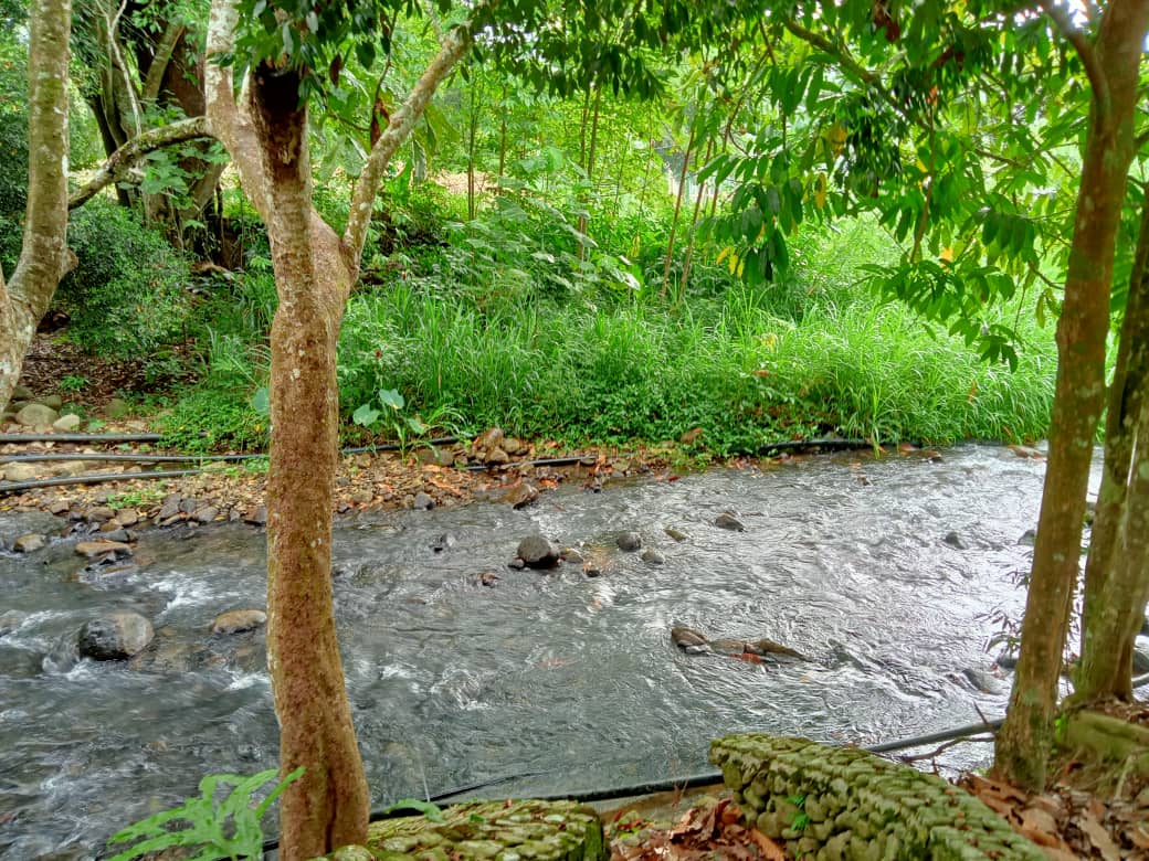 TaNaH FReEhoLD CAnTiK SuNgai RaTa BeRBuKiT - photo 5