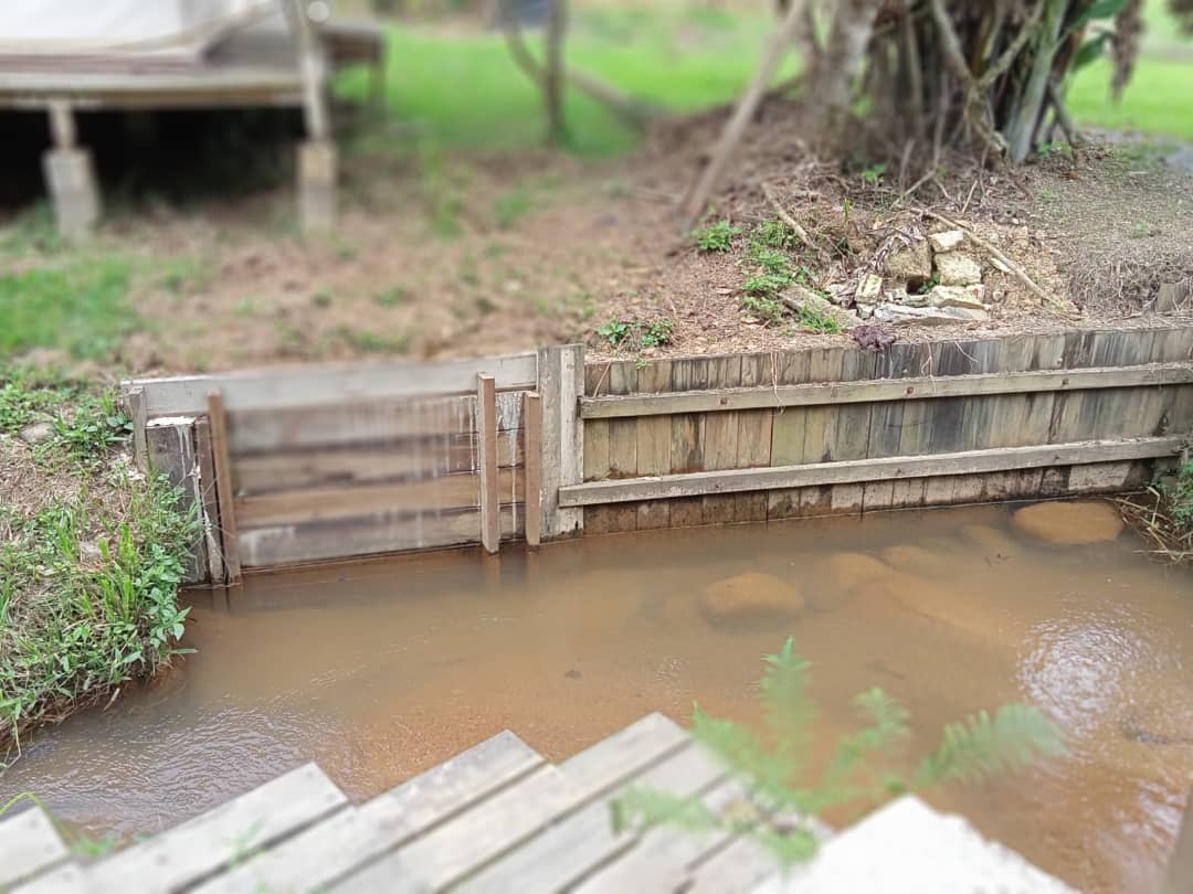 TaNah RaTa LuAS PeGanGaN KeKaL SuNGai BUaH BanYaK - photo 3