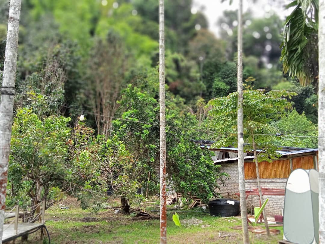 TaNah RaTa LuAS PeGanGaN KeKaL SuNGai BUaH BanYaK - photo 4