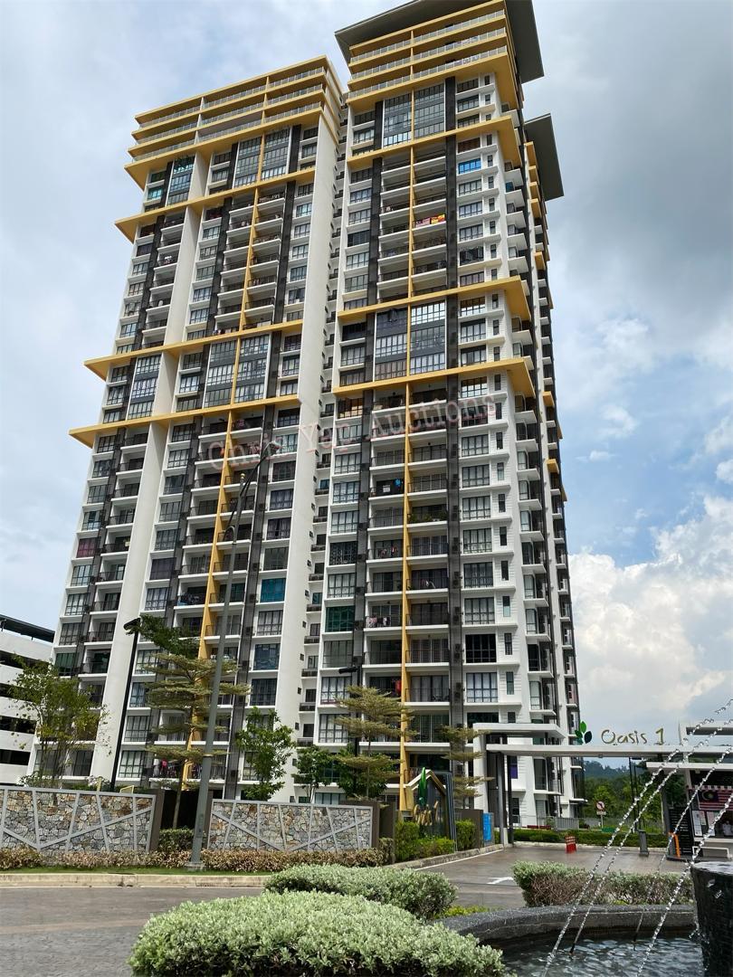 Oasis 1 - photo 2