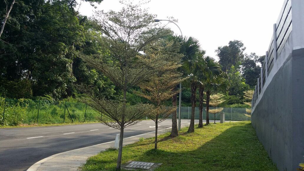 Bukit Serdang BRAND NEW 3 Storey SemiD FREEHOLD - photo 3
