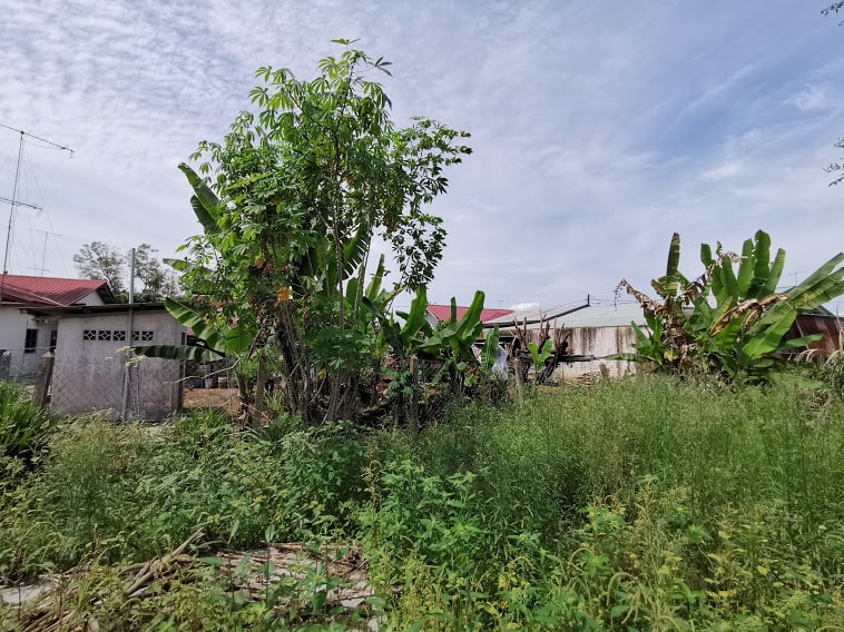 Single storey bungalow Chaah Segamat Johor - photo 4