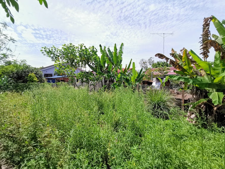 Single storey bungalow Chaah Segamat Johor - photo 9